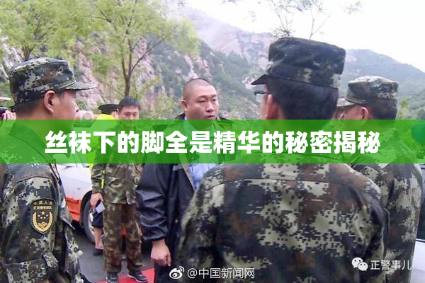 丝袜下的脚全是精华的秘密揭秘