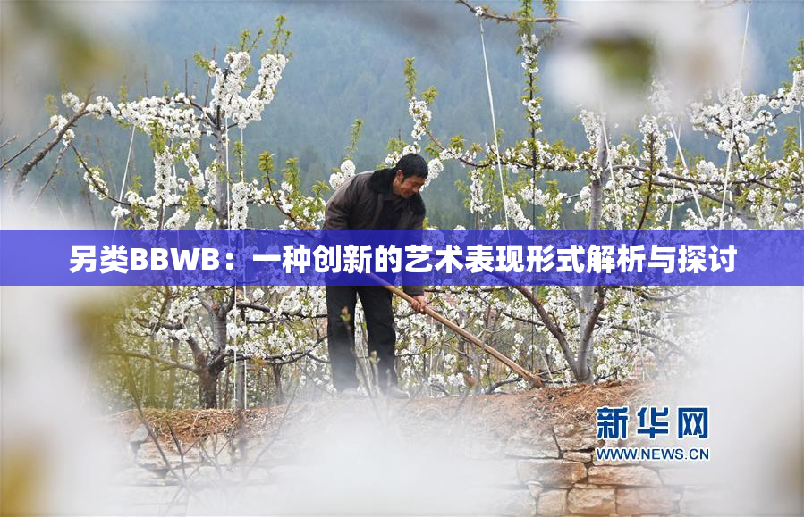 另类BBWB：一种创新的艺术表现形式解析与探讨