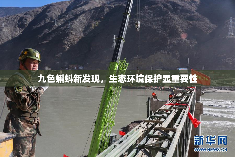 九色蝌蚪新发现，生态环境保护显重要性