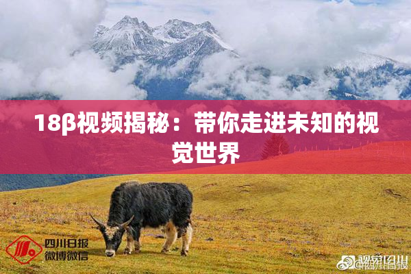 18β视频揭秘：带你走进未知的视觉世界