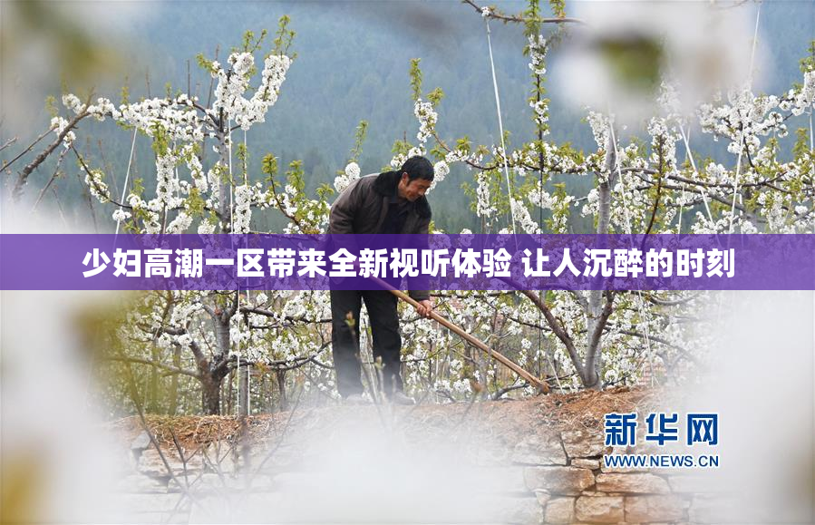 少妇高潮一区带来全新视听体验 让人沉醉的时刻