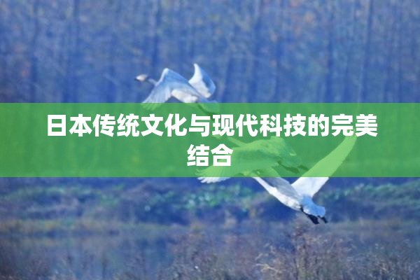 日本传统文化与现代科技的完美结合