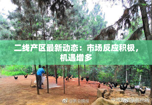 二线产区最新动态：市场反应积极，机遇增多