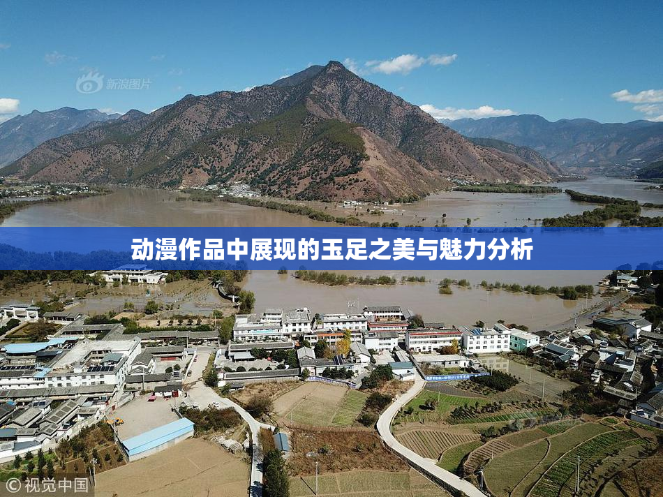 动漫作品中展现的玉足之美与魅力分析