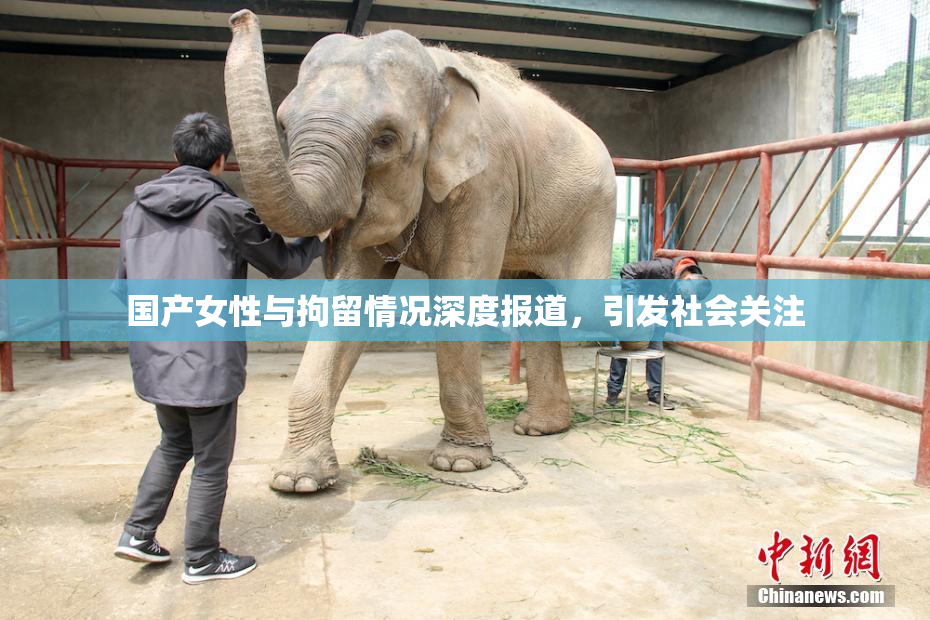 国产女性与拘留情况深度报道，引发社会关注