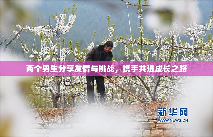 两个男生分享友情与挑战，携手共进成长之路
