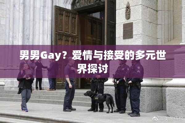 男男Gay？爱情与接受的多元世界探讨