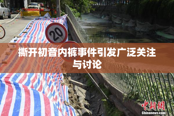 撕开初音内裤事件引发广泛关注与讨论