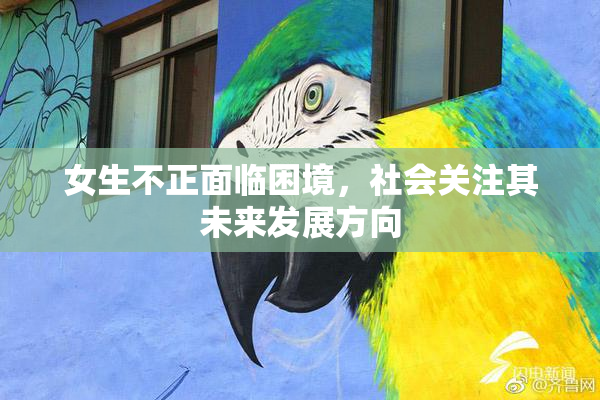 女生不正面临困境，社会关注其未来发展方向