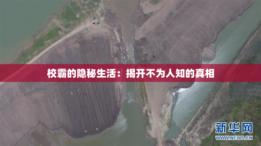 校霸的隐秘生活：揭开不为人知的真相