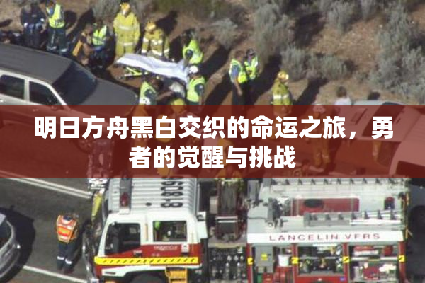 明日方舟黑白交织的命运之旅，勇者的觉醒与挑战