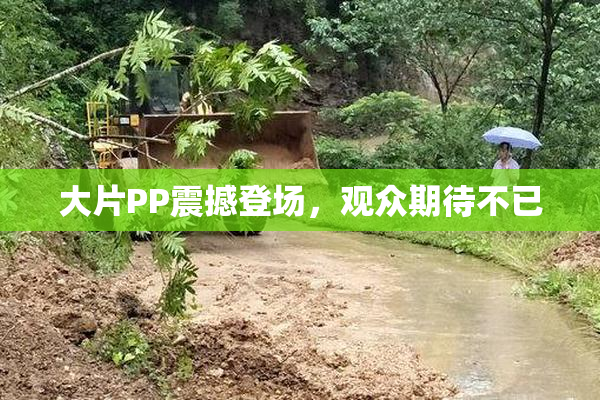 大片PP震撼登场，观众期待不已