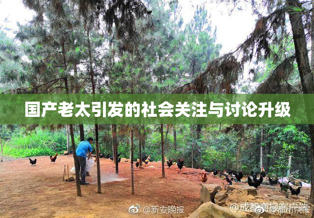 国产老太引发的社会关注与讨论升级
