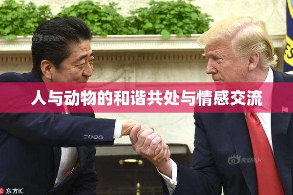 人与动物的和谐共处与情感交流