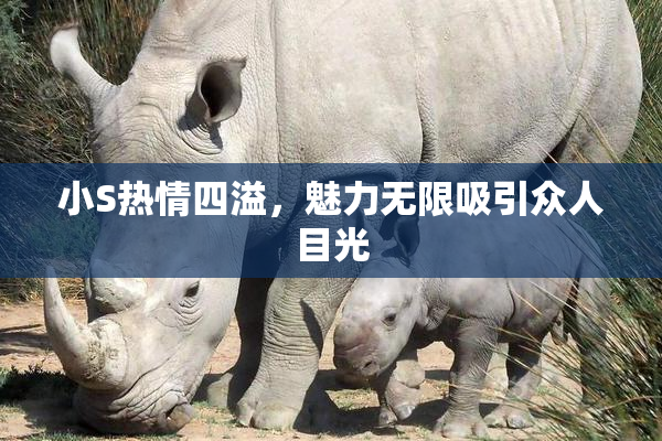 小S热情四溢，魅力无限吸引众人目光