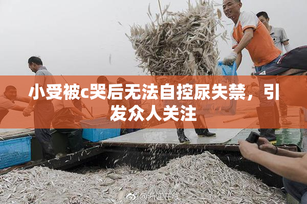 小受被c哭后无法自控尿失禁，引发众人关注