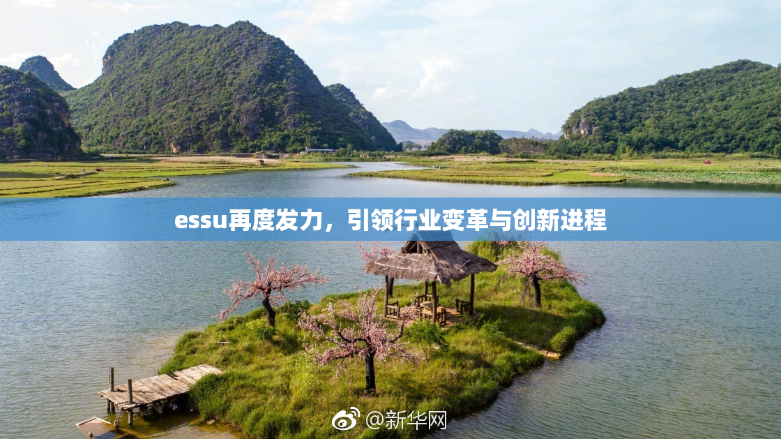 essu再度发力，引领行业变革与创新进程