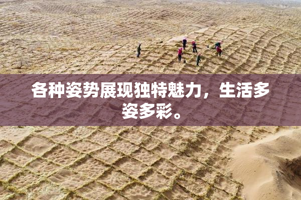 各种姿势展现独特魅力，生活多姿多彩。