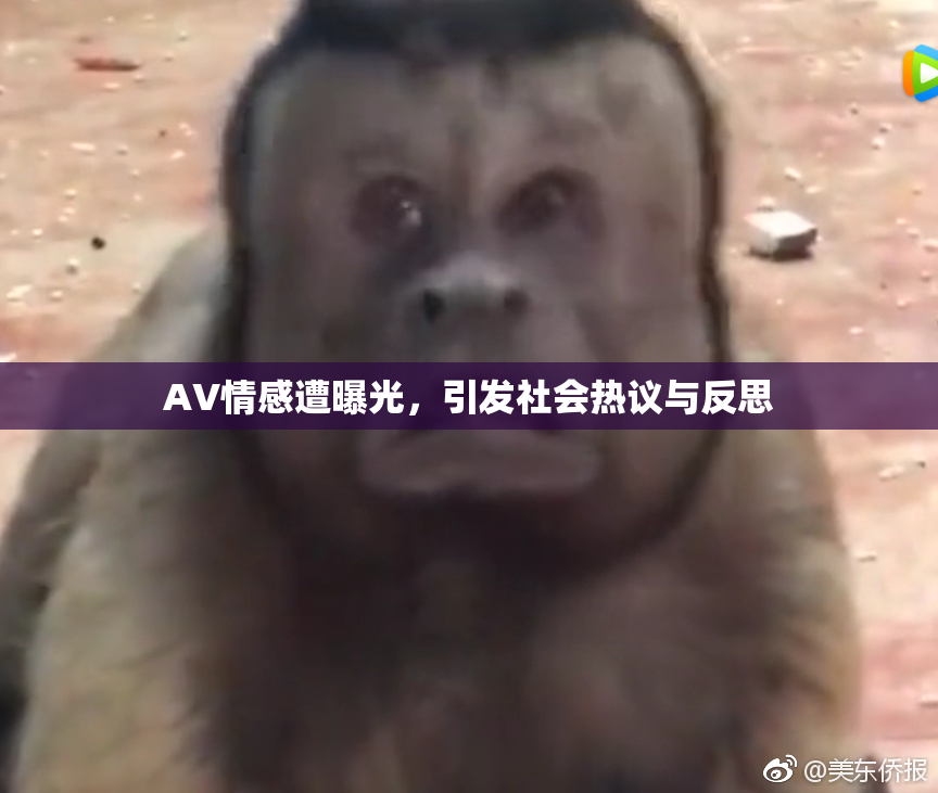 AV情感遭曝光，引发社会热议与反思