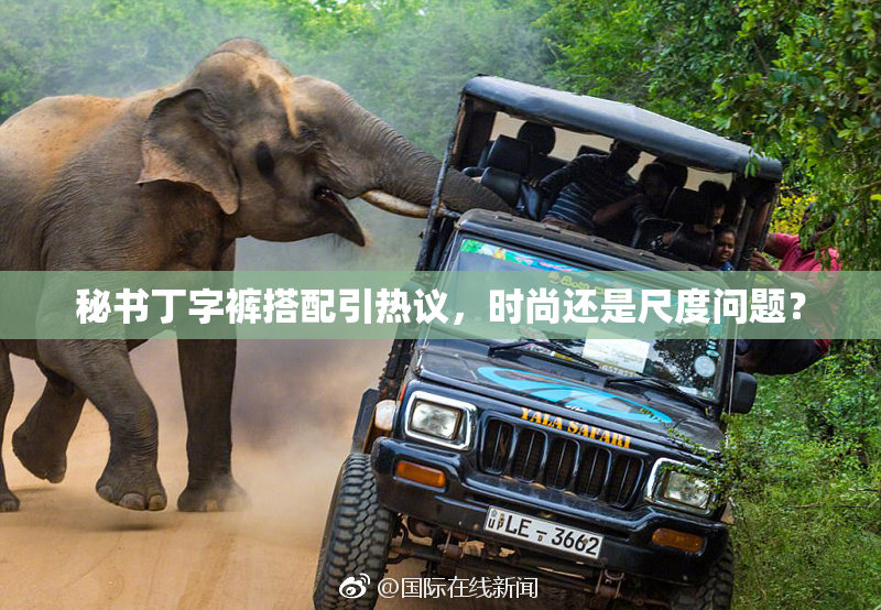 秘书丁字裤搭配引热议，时尚还是尺度问题？