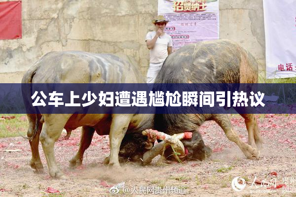公车上少妇遭遇尴尬瞬间引热议