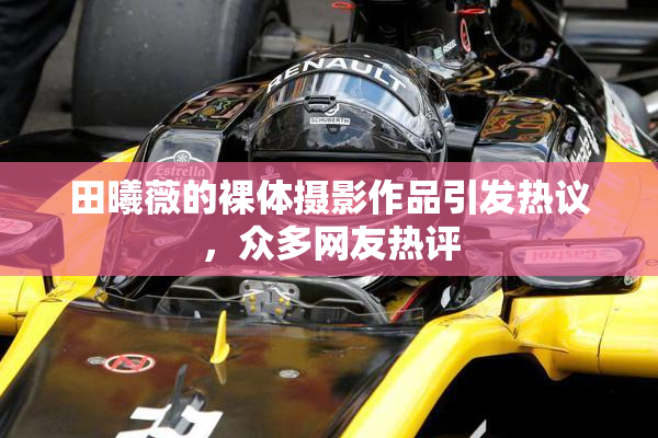 田曦薇的裸体摄影作品引发热议，众多网友热评