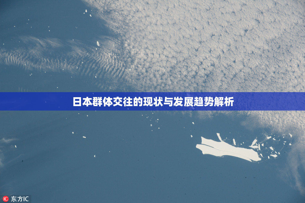 日本群体交往的现状与发展趋势解析