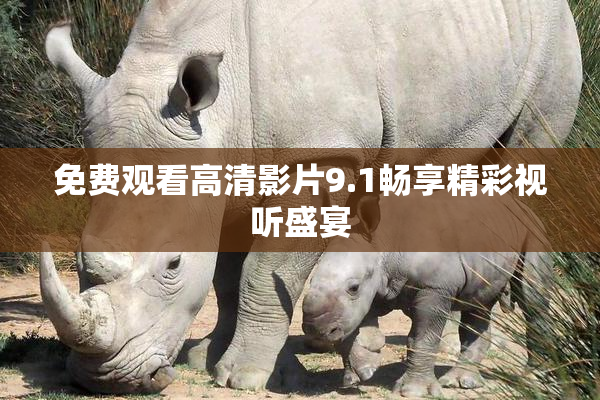 免费观看高清影片9.1畅享精彩视听盛宴