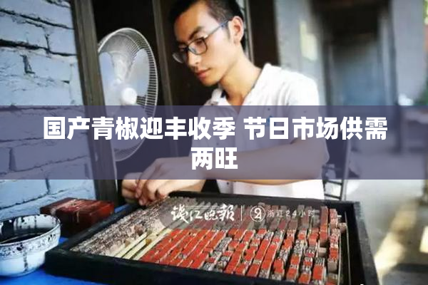 国产青椒迎丰收季 节日市场供需两旺