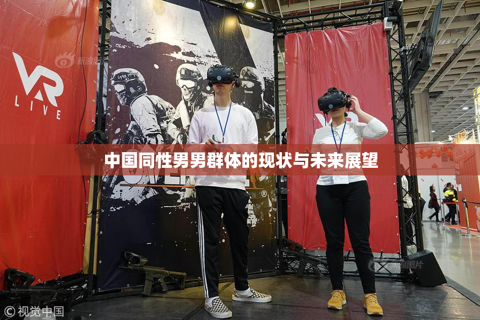中国同性男男群体的现状与未来展望