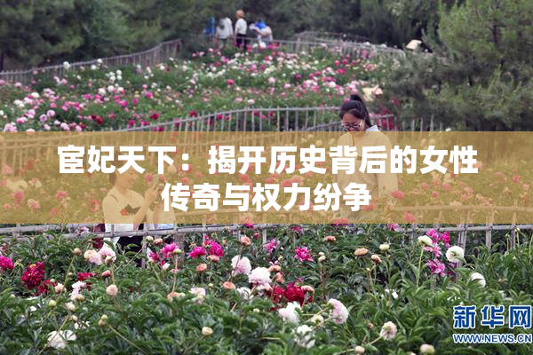 宦妃天下：揭开历史背后的女性传奇与权力纷争