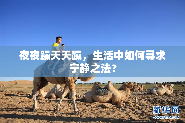 夜夜躁天天躁，生活中如何寻求宁静之法？