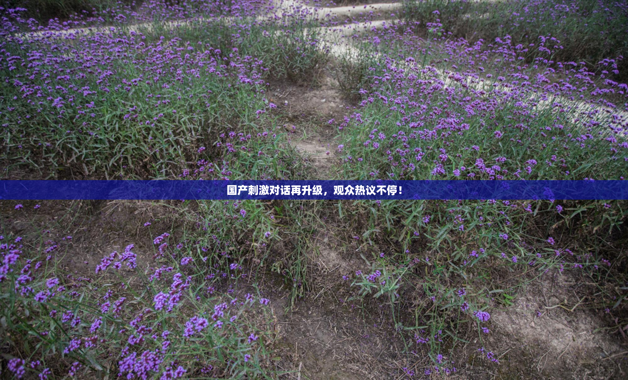 国产刺激对话再升级，观众热议不停！