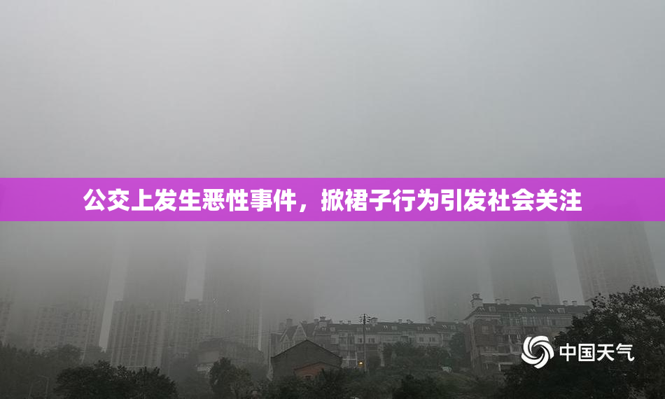 公交上发生恶性事件，掀裙子行为引发社会关注