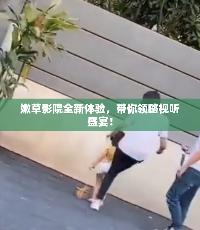 嫩草影院全新体验，带你领略视听盛宴！