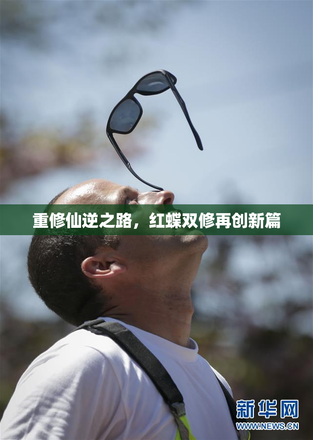重修仙逆之路，红蝶双修再创新篇