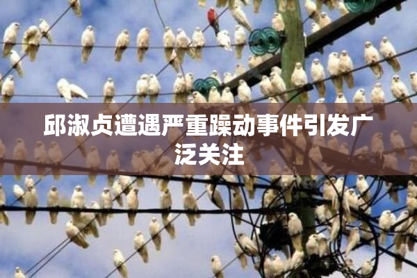 邱淑贞遭遇严重躁动事件引发广泛关注