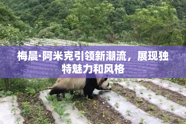 梅晨·阿米克引领新潮流，展现独特魅力和风格