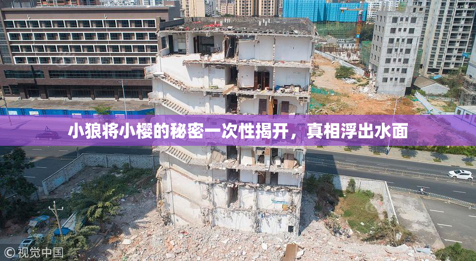 小狼将小樱的秘密一次性揭开，真相浮出水面