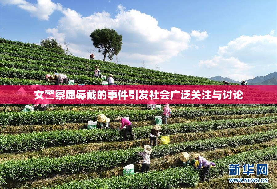 女警察屈辱戴的事件引发社会广泛关注与讨论