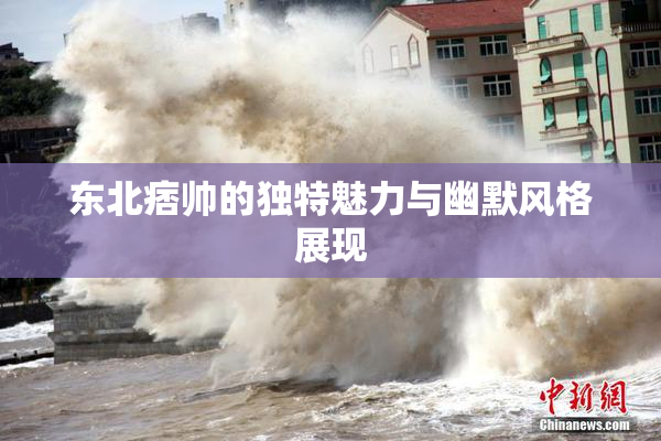 东北痞帅的独特魅力与幽默风格展现