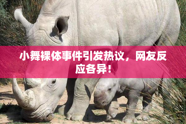 小舞裸体事件引发热议，网友反应各异！