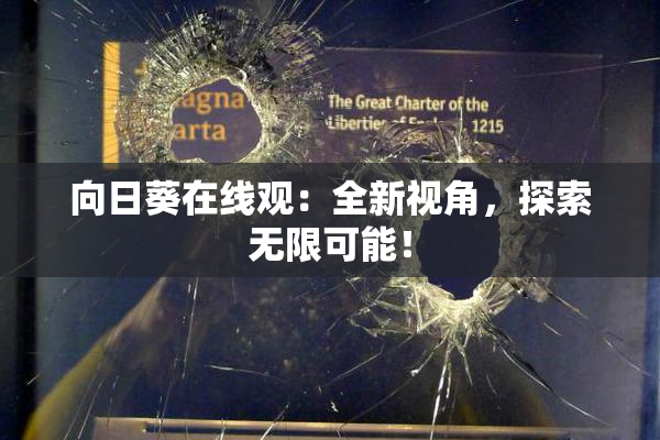 向日葵在线观：全新视角，探索无限可能！