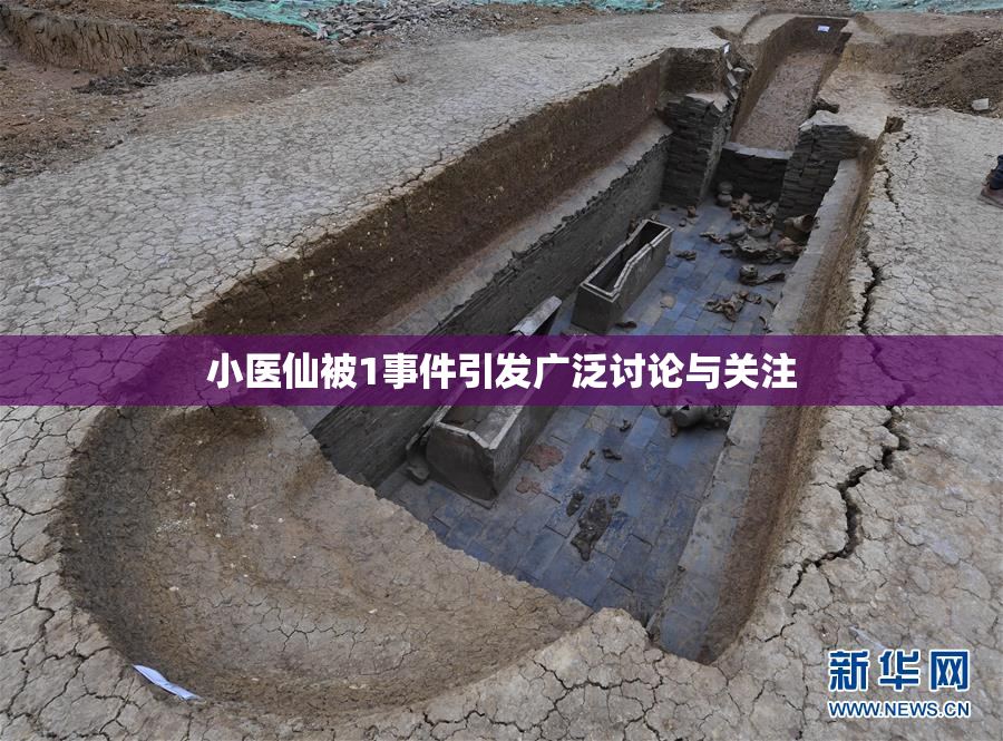 小医仙被1事件引发广泛讨论与关注