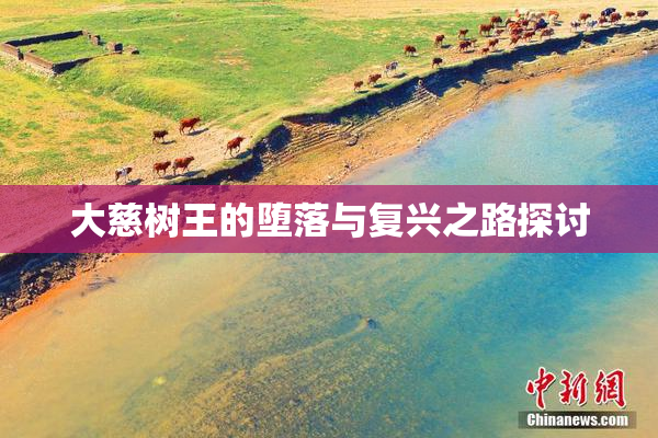大慈树王的堕落与复兴之路探讨