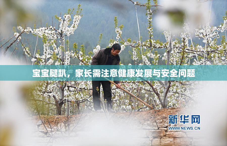 宝宝腿趴，家长需注意健康发展与安全问题