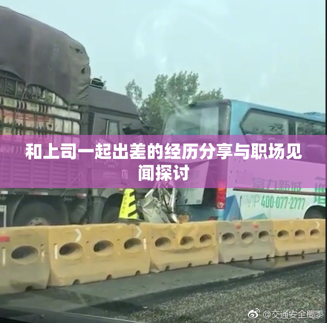 和上司一起出差的经历分享与职场见闻探讨