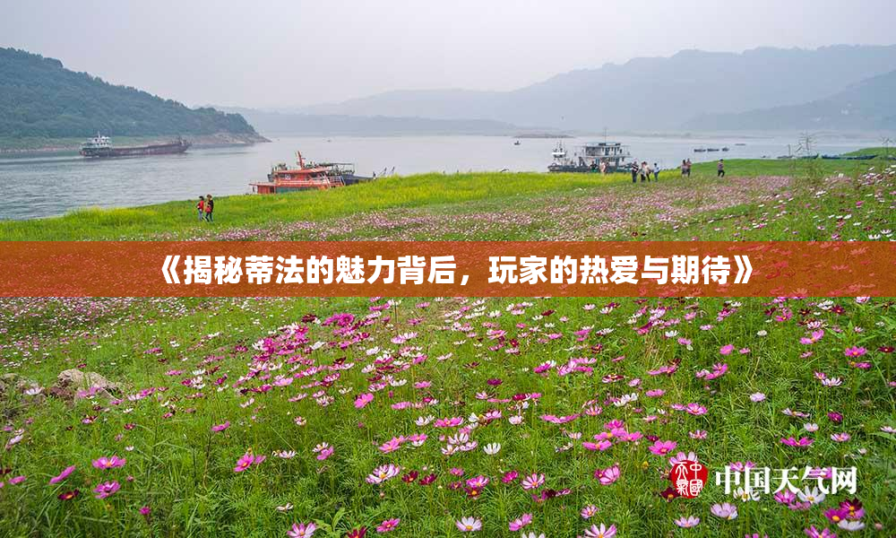 《揭秘蒂法的魅力背后，玩家的热爱与期待》