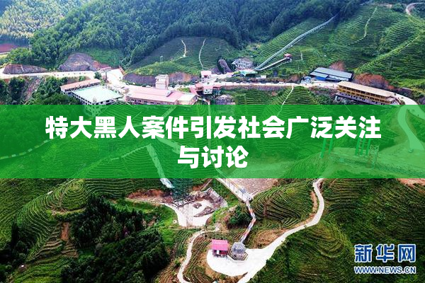 特大黑人案件引发社会广泛关注与讨论