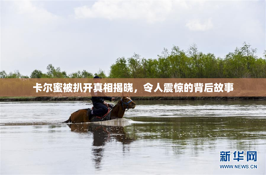 卡尔蜜被扒开真相揭晓，令人震惊的背后故事